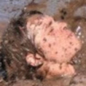 Meet your Posher, Derek